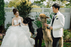 2025-8-17_SET_Dong–Lam_Wedding_14