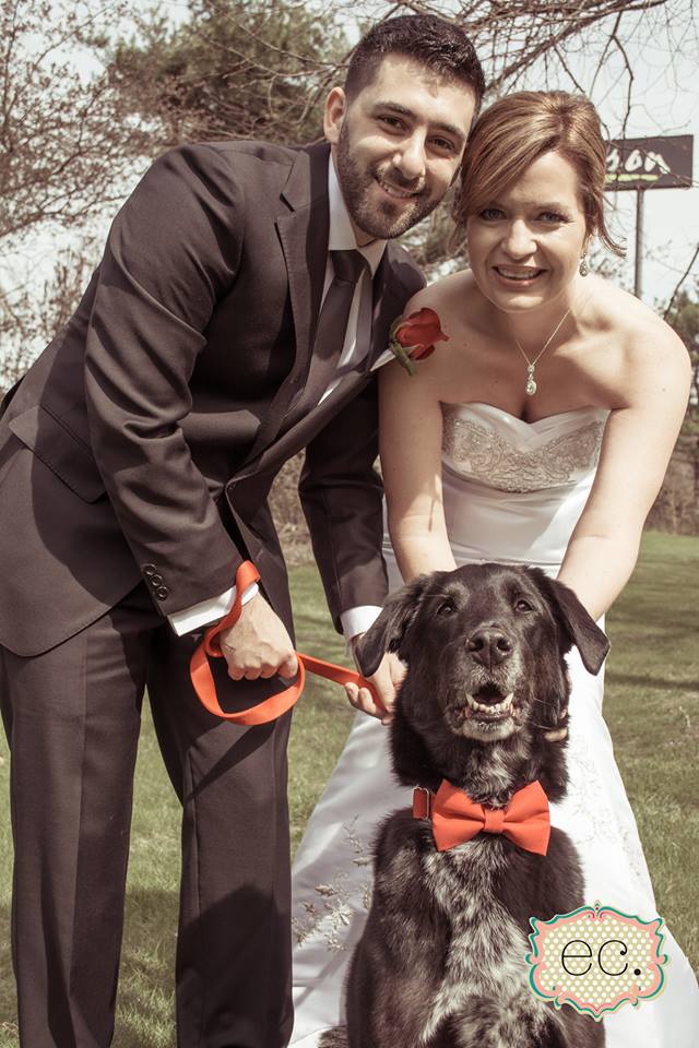 Dog in wedding photos